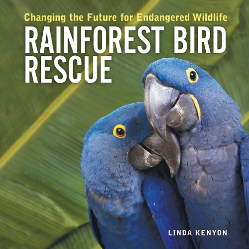 Rainforest Bird Rescue: Changing the Future for End Angered Wildlife (Paperback)
