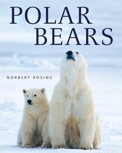 Polar Bears (Paperback)