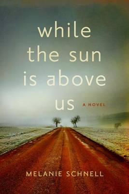 While the Sun Is Above Us (Paperback)