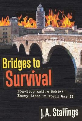 Bridges to Survival (Paperback)