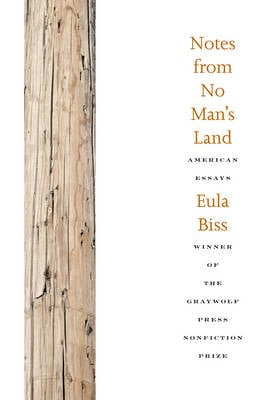 Notes From No Man's Land: American Essays (Paperback)