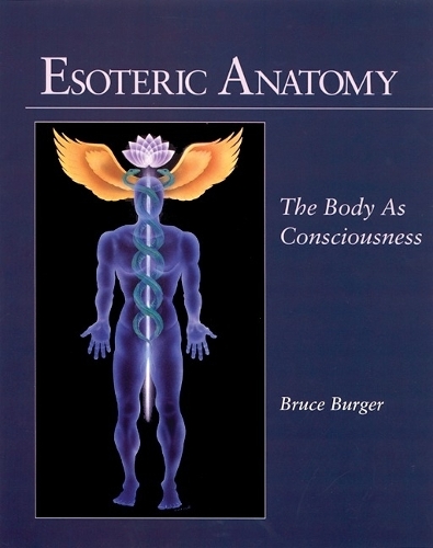 Esoteric Anatomy (Paperback)