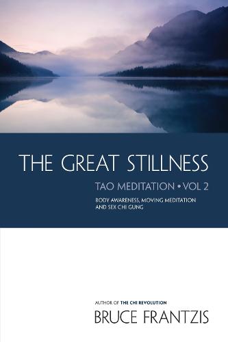 The Great Stillness (Paperback)