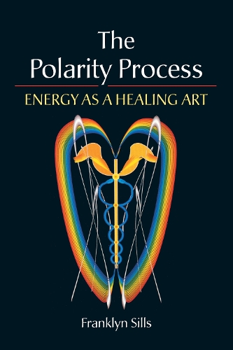 The Polarity Process (Paperback)