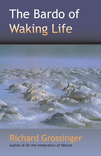 The Bardo Of Waking Life (Paperback)