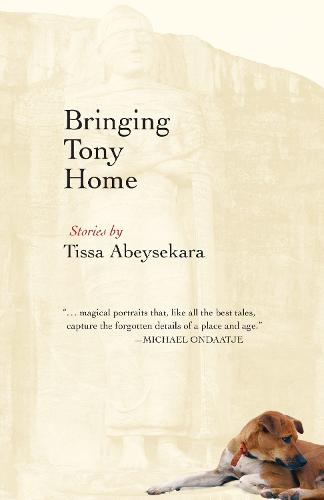 Bringing Tony Home (Paperback)