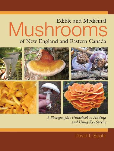 Edible and Medicinal Mushrooms of New England and Eastern Canada: A Photographic Guidebook to Finding and Using Key Species (Paperback)