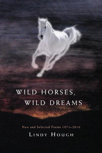 Wild Horses, Wild Dreams (Paperback)
