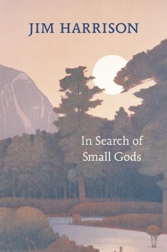 Cover of In Search of Small Gods