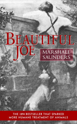 Beautiful Joe (Paperback) (Paperback)