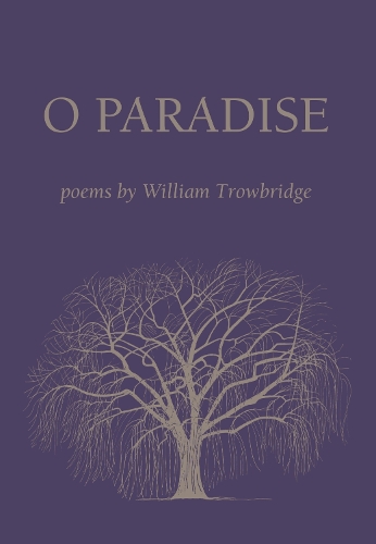 O Paradise (Hardback)