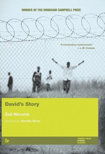David's Story (Paperback)