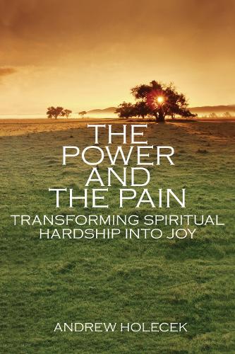 The Power And The Pain (Paperback)