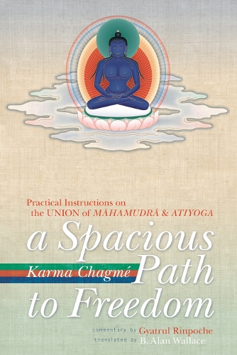 A Spacious Path To Freedom, A (Paperback)