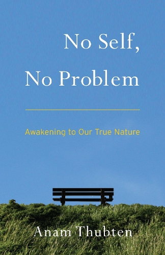 No Self, No Problem (Paperback)