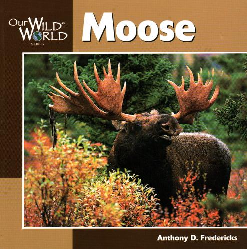 Moose - Our Wild World (Paperback)