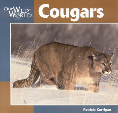 Cougars - Our Wild World (Paperback)