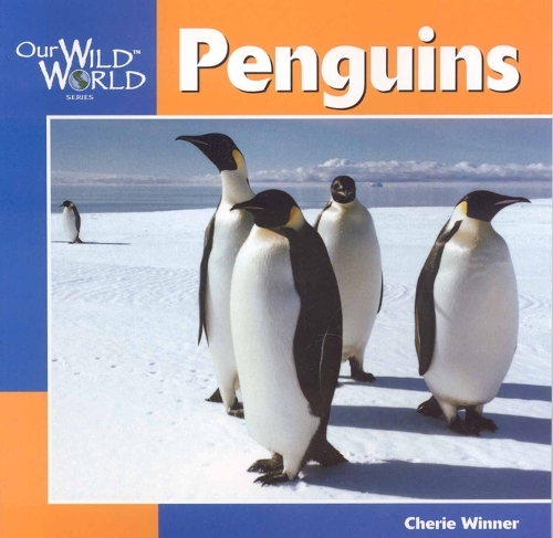 Penguins - Our Wild World (Paperback)