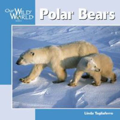 the physical characteristics behavior and habitat of the polar bear Describe the physical characteristics, behavior, habitat, and life cycle of the polar bear. the physical characteristics behavior and habitat of the polar bear Describe the physical characteristics, behavior, habitat, and life cycle of the polar bear.