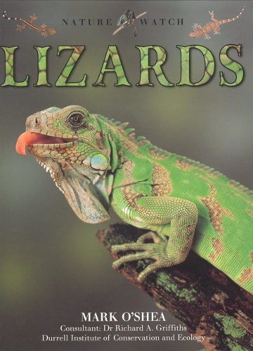 Lizards - Our Wild World (Paperback)