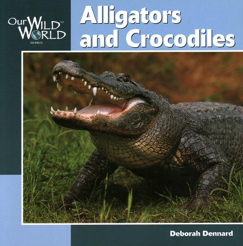 Alligators and Crocodiles - Our Wild World (Paperback)