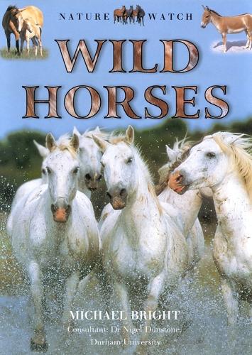 Wild Horses - Our Wild World (Hardcover) (Hardback)