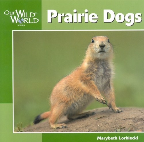 Prairie Dogs - Our Wild World (Hardcover) (Hardback)