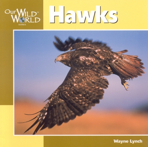Hawks - Our Wild World (Paperback) (Paperback)