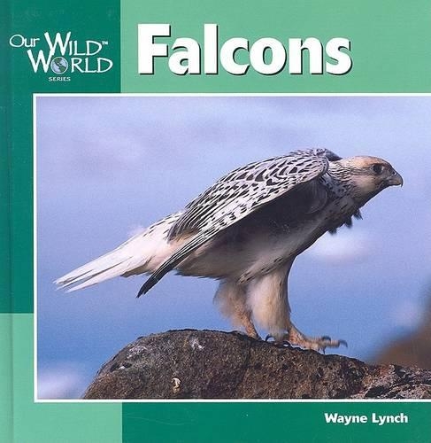 Falcons - Our Wild World (Hardback)