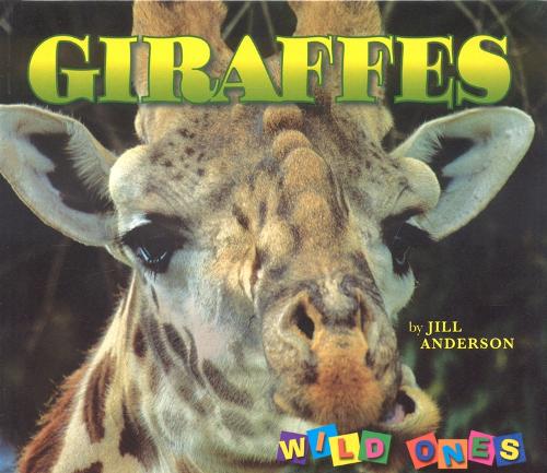 Giraffes - Wild Ones (Paperback)