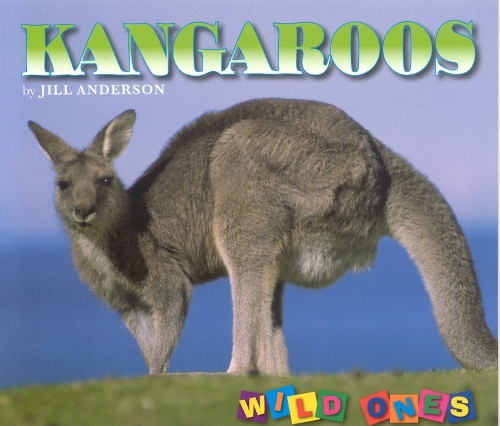 Kangaroos - Wild Ones (Hardback)