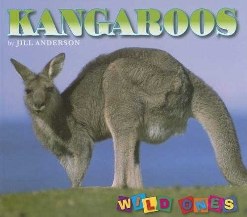 Kangaroos - Wild Ones (Paperback)