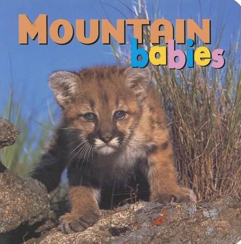 Mountain Babies - Animal Babies (Board book)