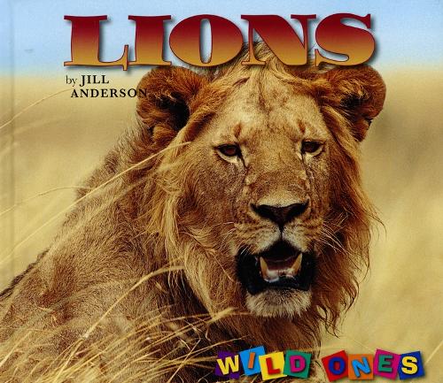 Lions - Wild Ones (Hardback)