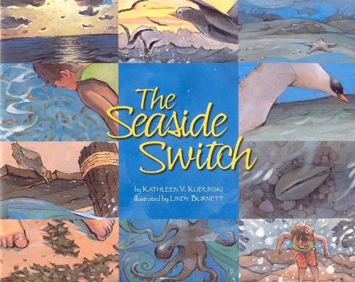 The Seaside Switch (Hardback)