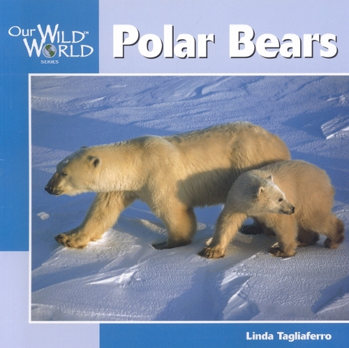 Polar Bears - Wild Ones (Hardback)