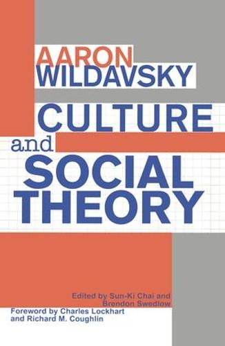 Culture and Social Theory (Hardback)