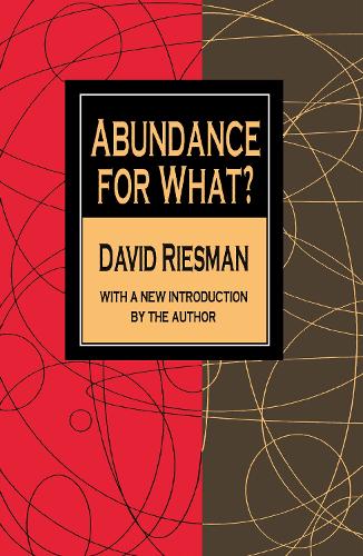 Abundance for What? (Paperback)