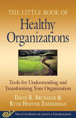 The Little Book of Healthy Organizations: Tools for Understanding and Transforming Your Organization (Paperback)