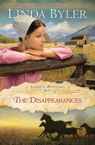 Disappearances: Another Spirited Novel by the Bestselling Amish Author! (Paperback)