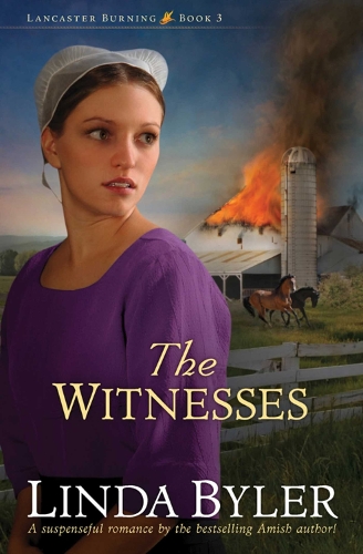 The Witnesses - Lancaster Burning (Paperback)
