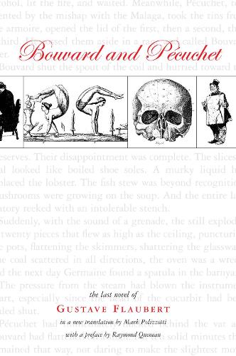 Bouvard and Pecuchet: A Novel (Paperback)