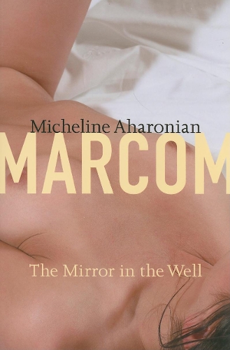 The Mirror in the Well - American Literature Series (Hardback)