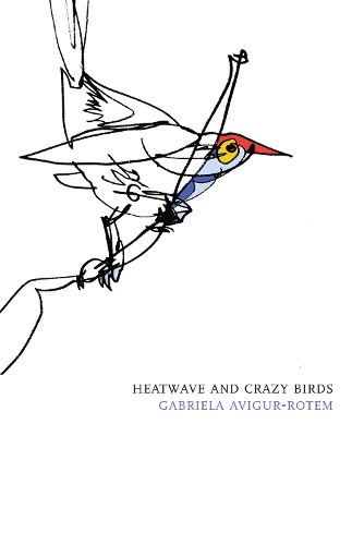 Heatwave and Crazy Birds (Paperback)