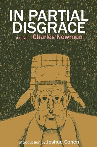 In Partial Disgrace (Paperback)