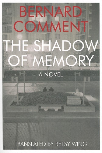The Shadow of Memory (Paperback)