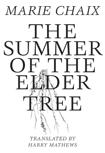 Summer of the Elder Tree (Paperback)
