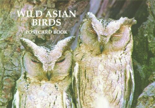 Wild Asian Birds Postcard Book