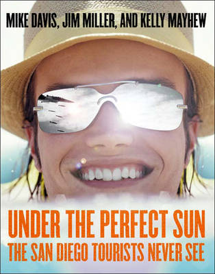 Under The Perfect Sun: The San Diego Tourists Never See (Hardback)
