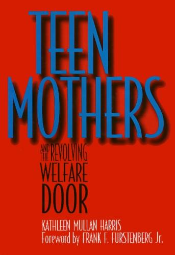 Teen Mothers - Women In The Political Economy (Hardback)